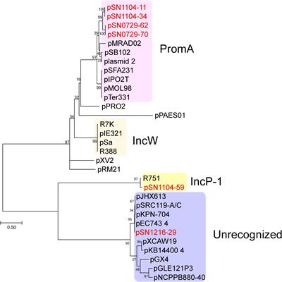 Novel Self-Transmissible and Broad-Host-Range Plasmids Exogenously Captured From Anaerobic Granules or Cow Manure